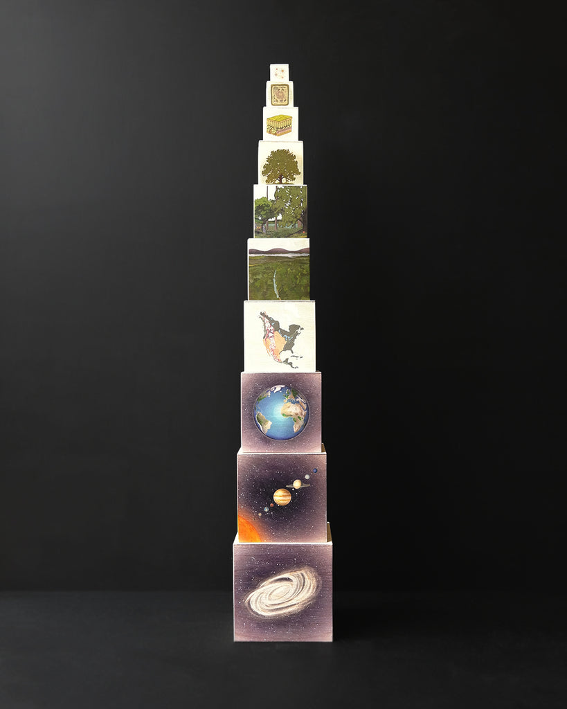 Biosphere Nesting Boxes | Waseca Biomes B2B