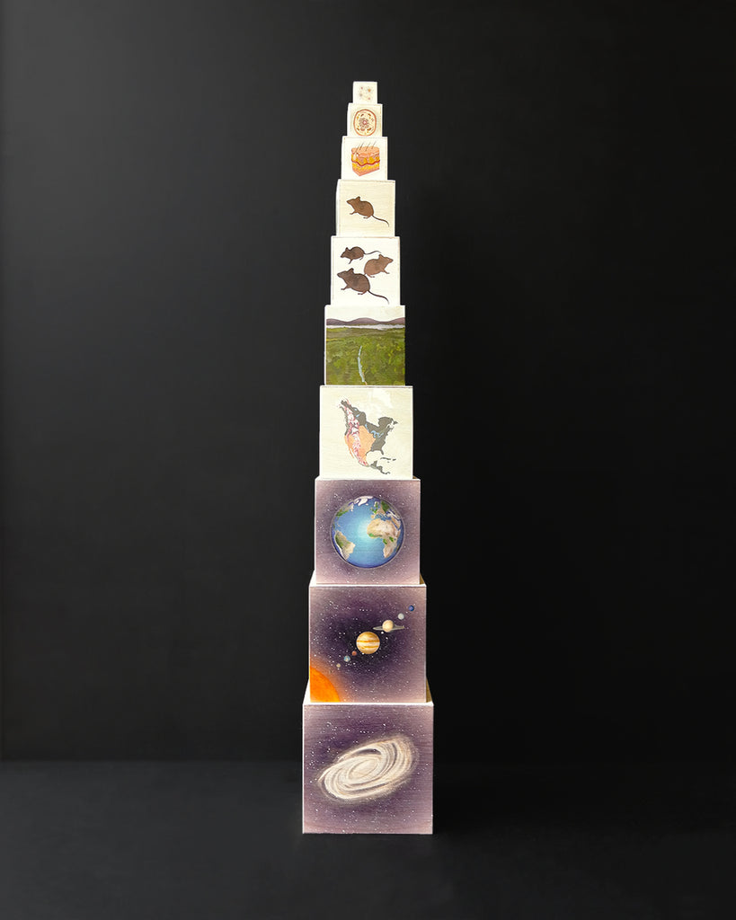 Biosphere Nesting Boxes | Waseca Biomes B2B