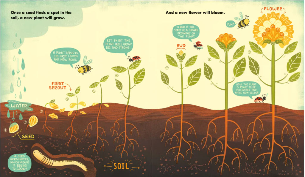 What's inside a flower?