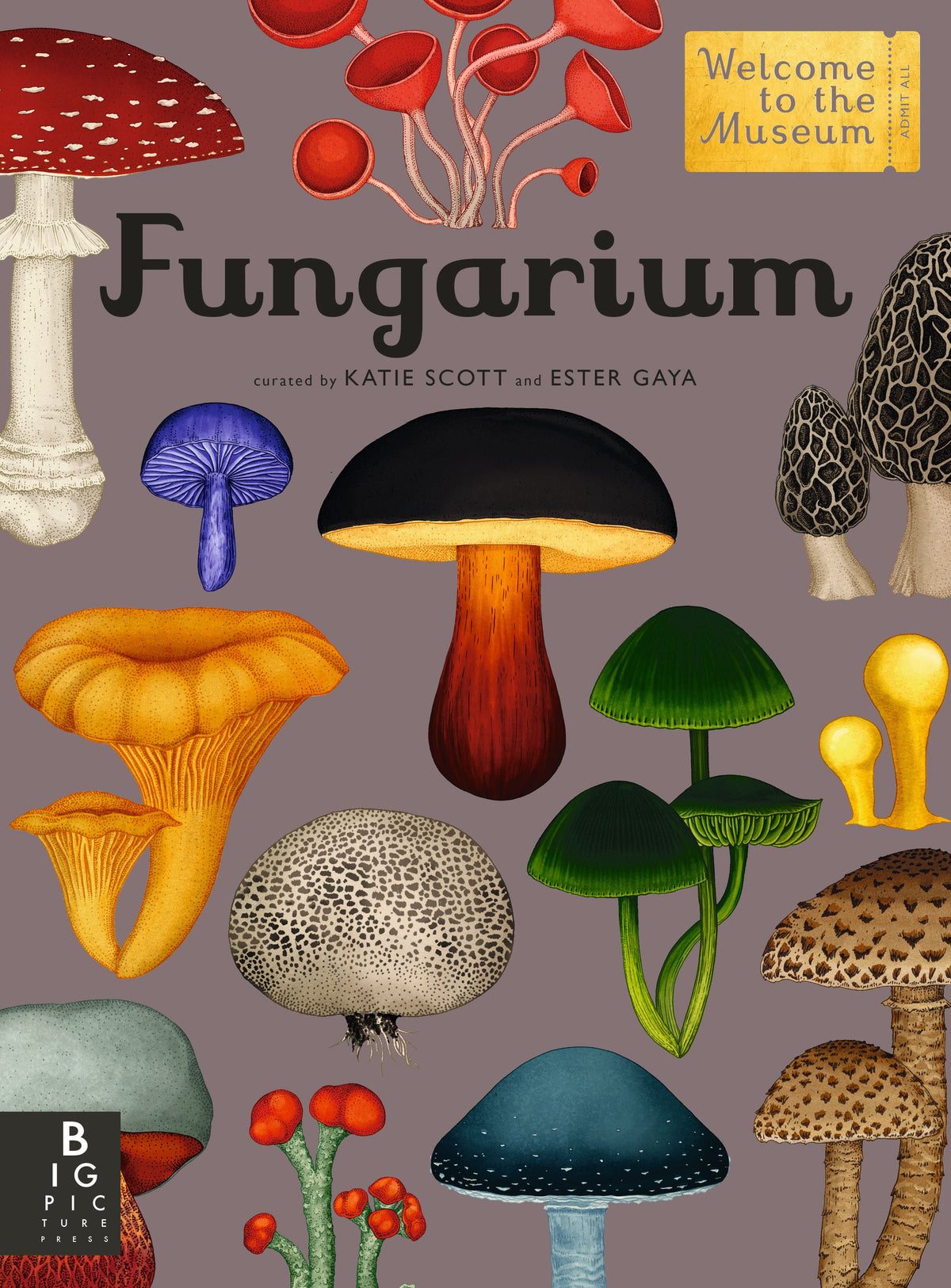 Fungarium | Waseca Biomes B2B