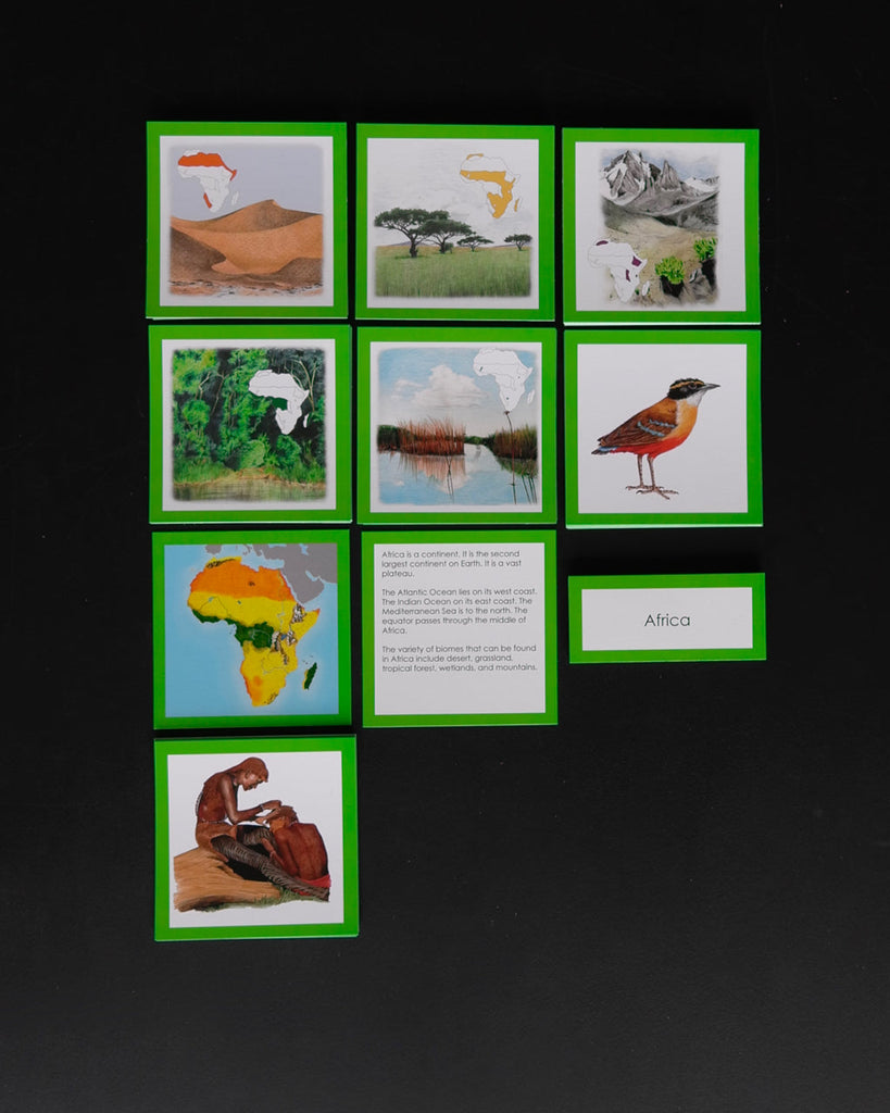 Biome Cards.pdf Complete Set of Continent Biome Cards–Elementary | Waseca Biomes B2B
