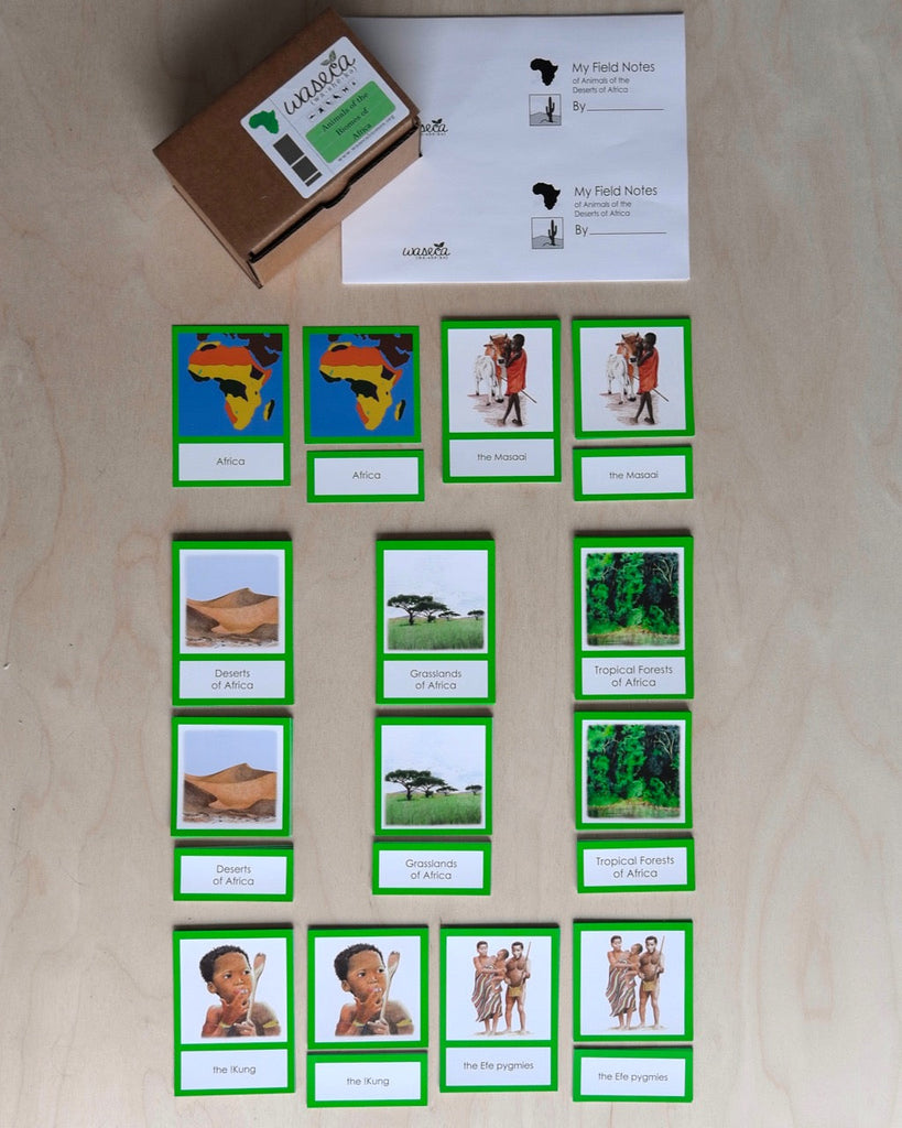 Biome Cards.pdf Complete Set of Continent Biome Cards–Primary | Waseca Biomes B2B
