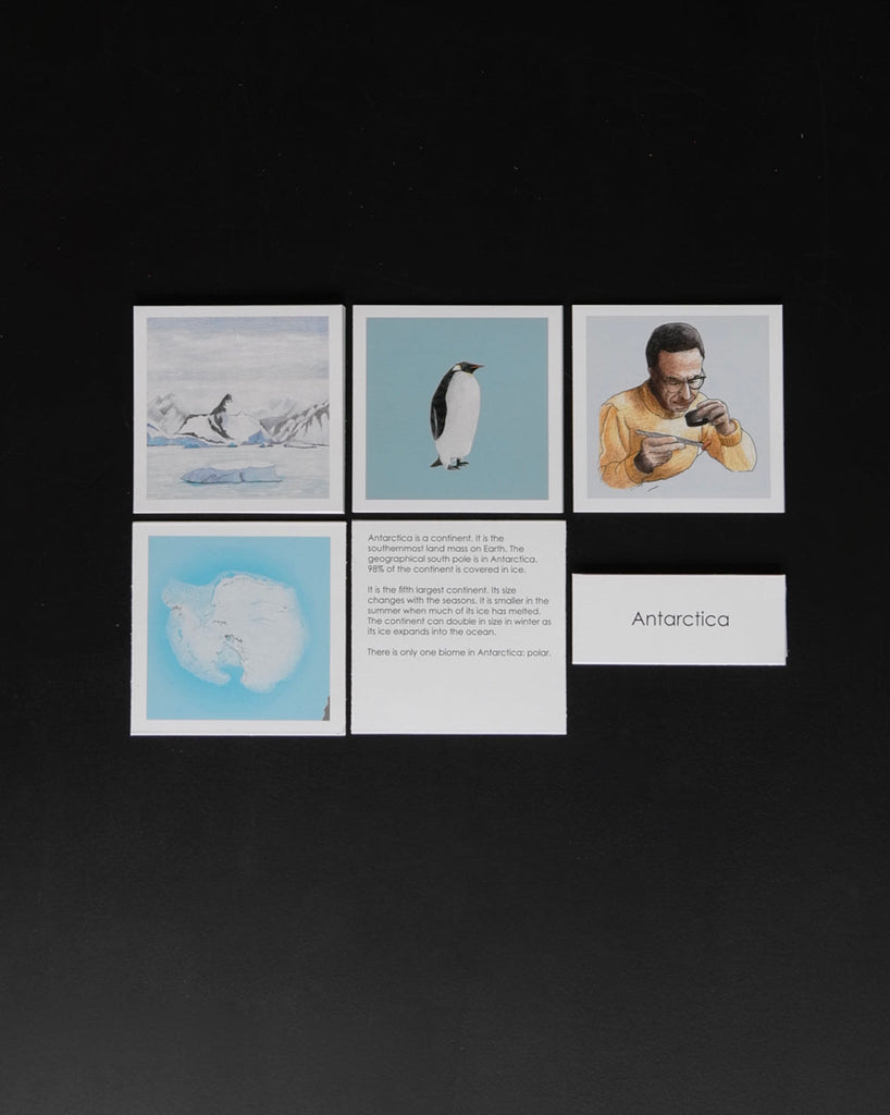 Biome Cards.pdf Complete Set of Continent Biome Cards–Elementary | Waseca Biomes B2B