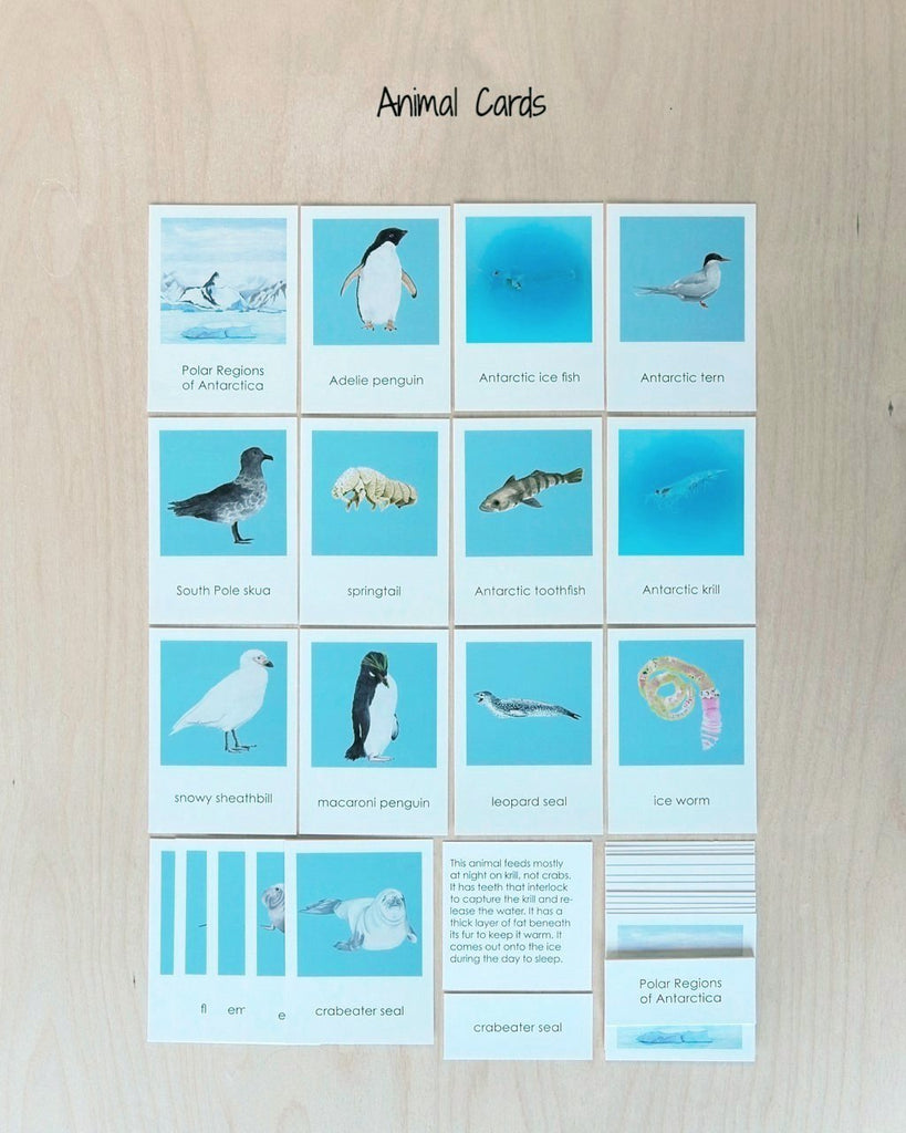 Biome Cards.pdf Antarctica Biome Cards-Primary | Waseca Biomes B2B