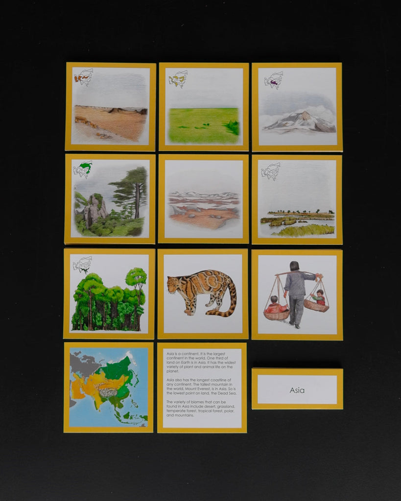 Asia Biome Cards-Elementary