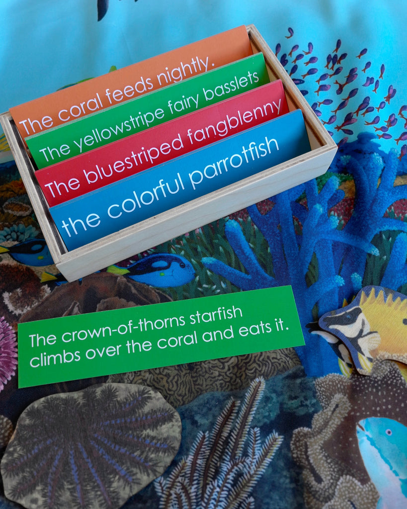 Coral Reef Habitat Mat