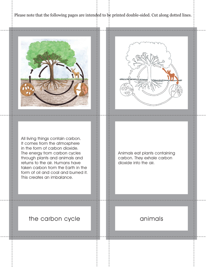 Download Version: Introduction to the Biomes Curriculum–Elementary