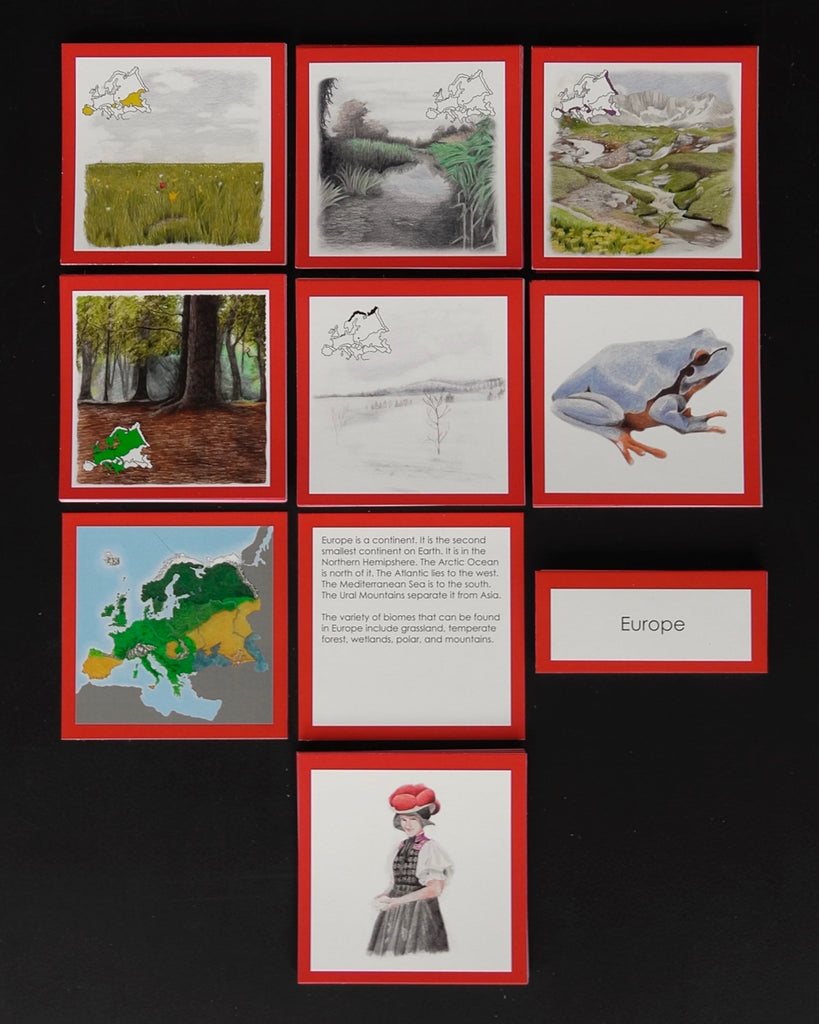 Europe Biome Cards-Elementary