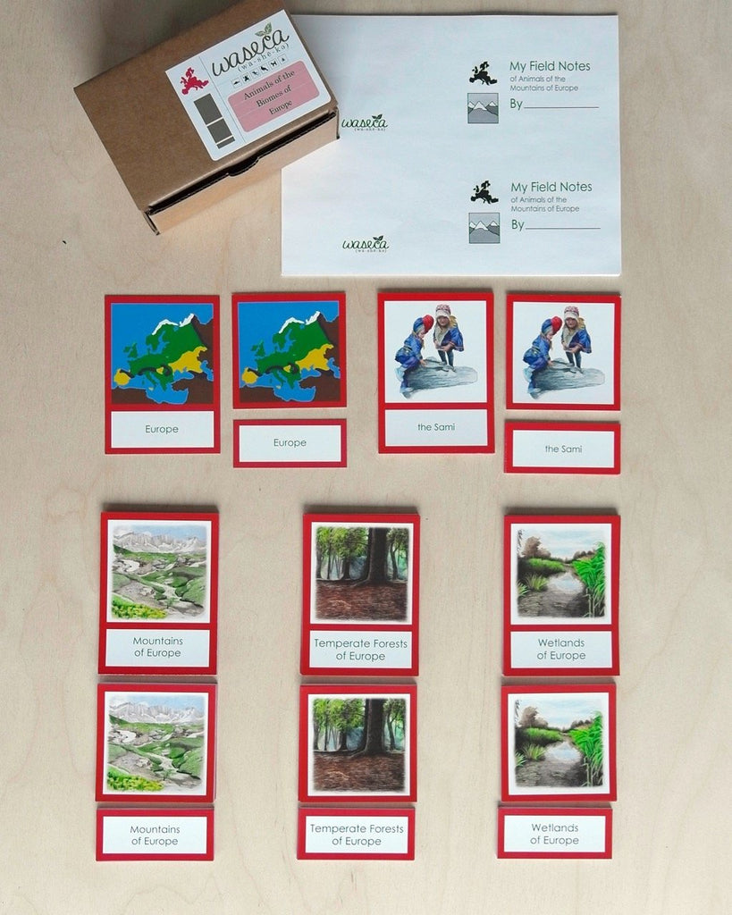 Europe Biome Cards-Primary