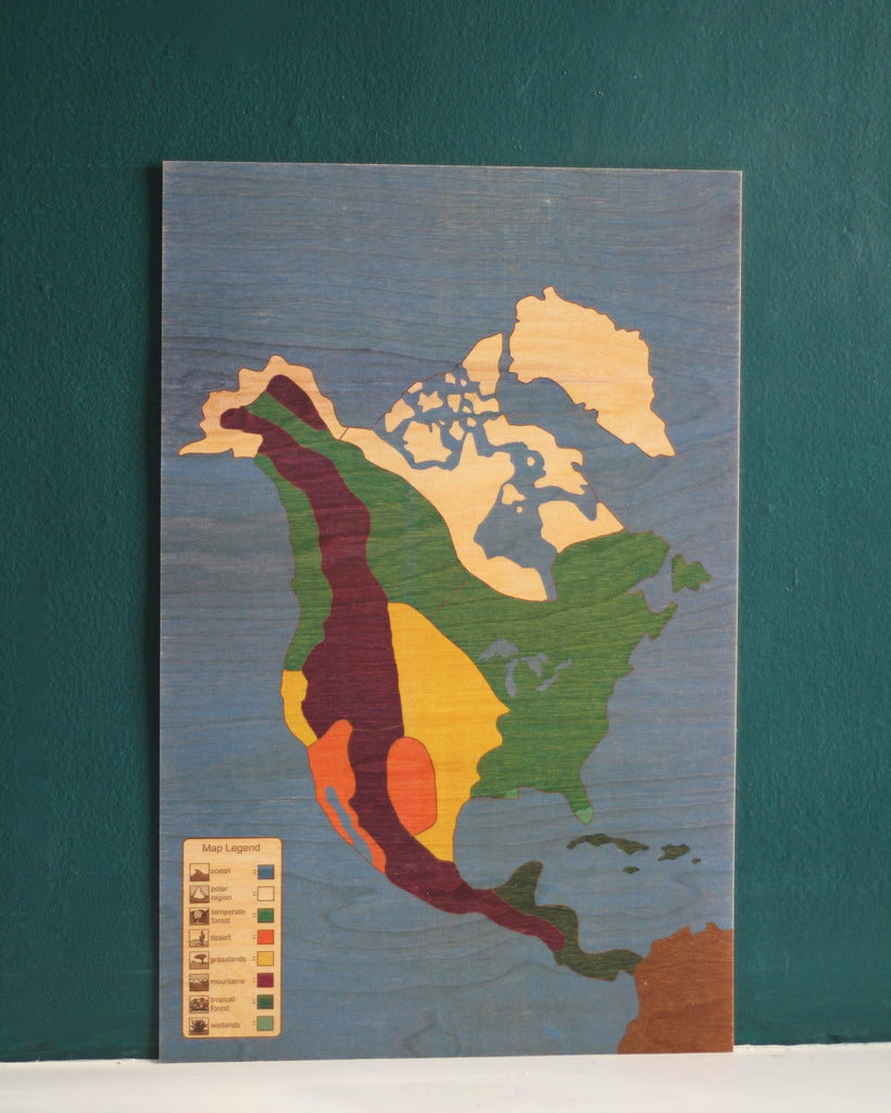 North America Biome Puzzle