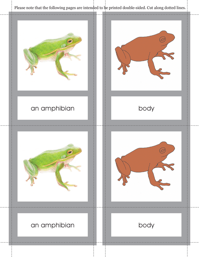 Download version: Introduction to the Biomes Curriculum–Primary