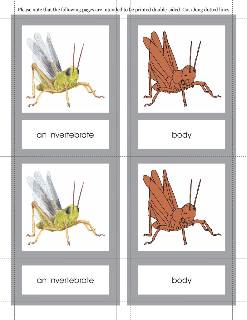 Download version: Introduction to the Biomes Curriculum–Primary