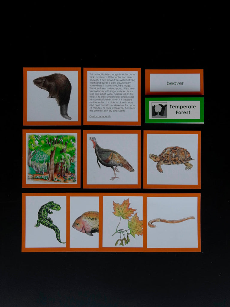 North America Biome Cards-Elementary