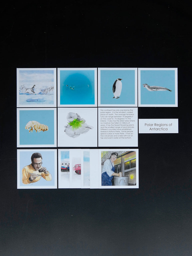 Biome Cards.pdf Products | Waseca Biomes B2B