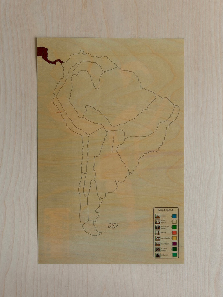 South America Biome Puzzle