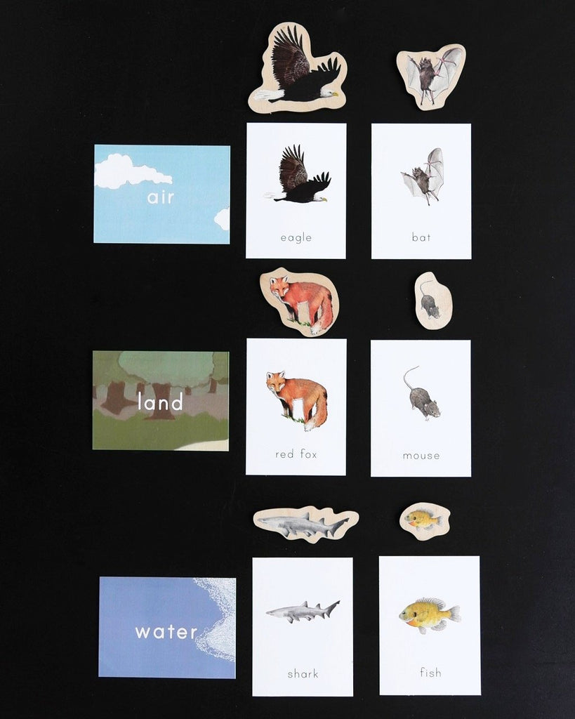 Land Air Water Mat-Cards