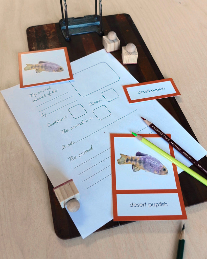 North America Biome Card-Primary-Research