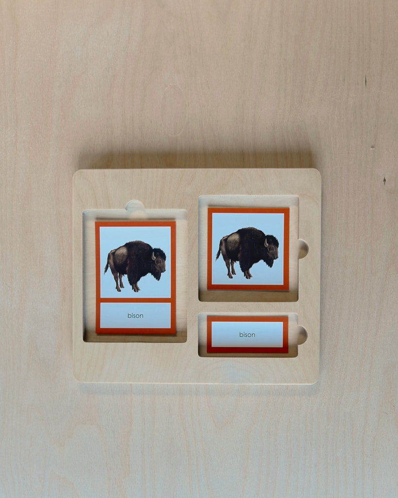 North America Biome Card-Primary-Storage
