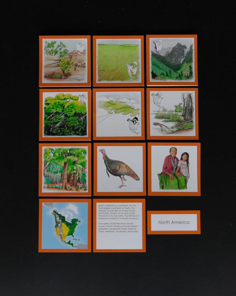 Biome Cards.pdf Complete Set of Continent Biome Cards–Elementary | Waseca Biomes B2B