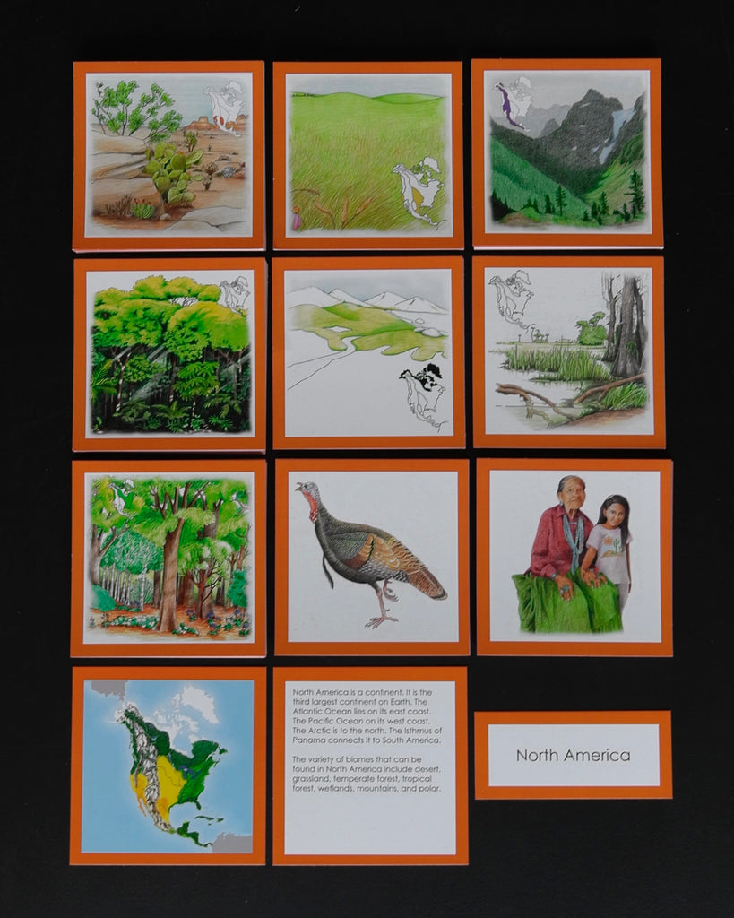 North America Biome Cards-Elementary