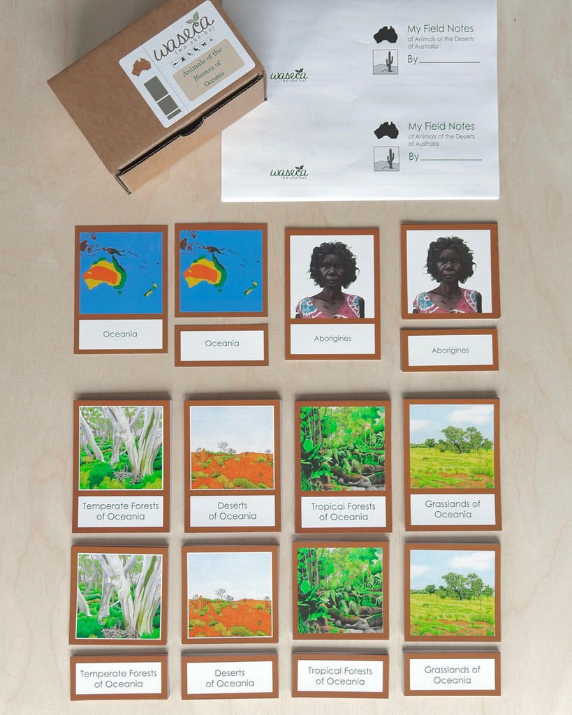 Complete Set of Continent Biome Cards–Primary