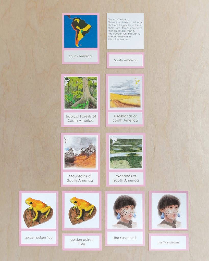 South America Biome Cards-Primary