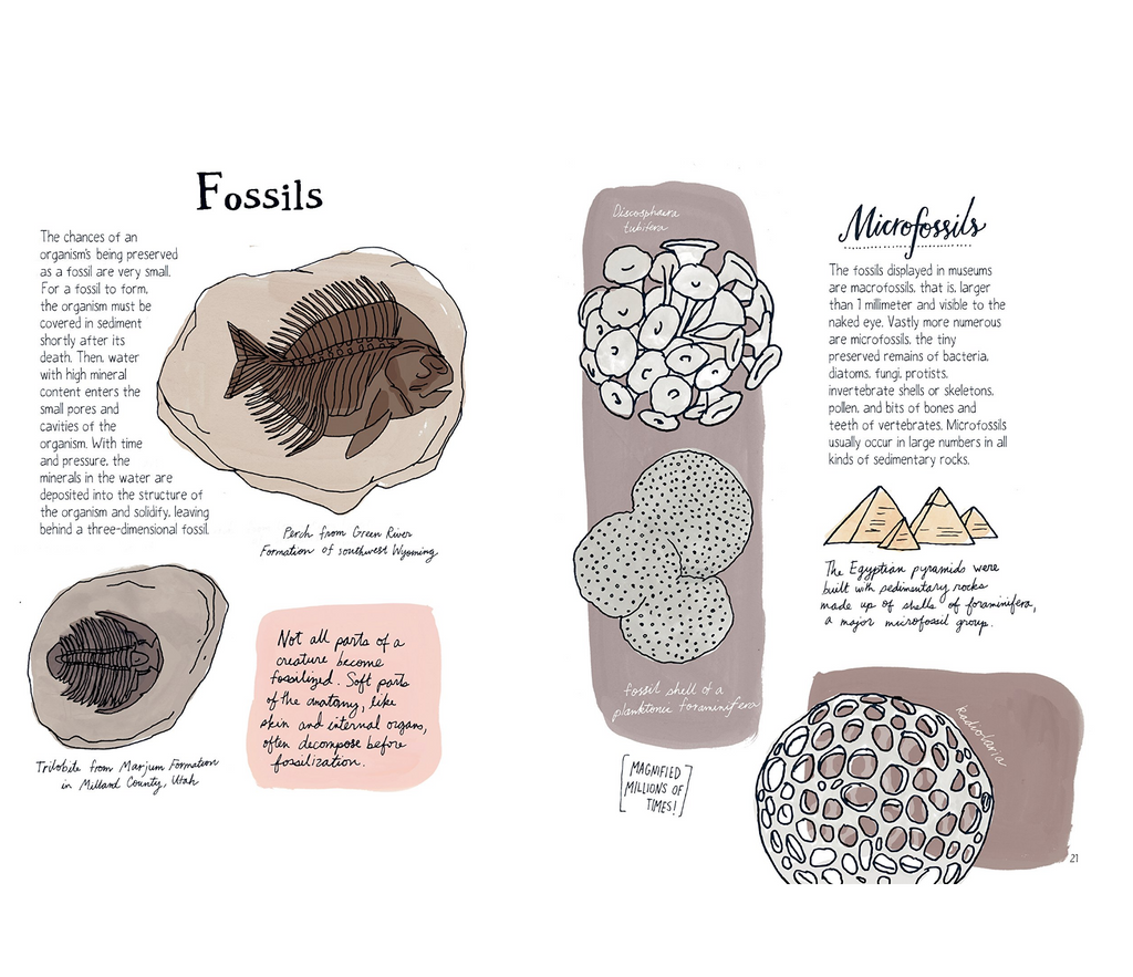 Nature Anatomy