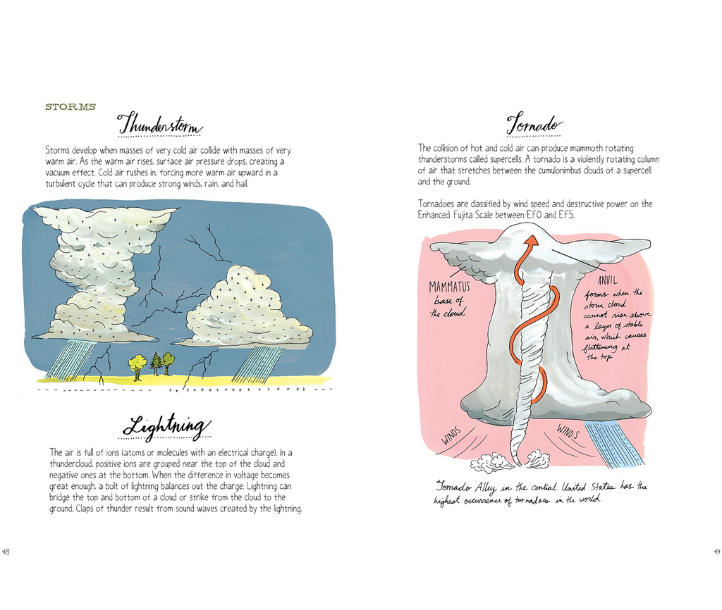 Nature Anatomy
