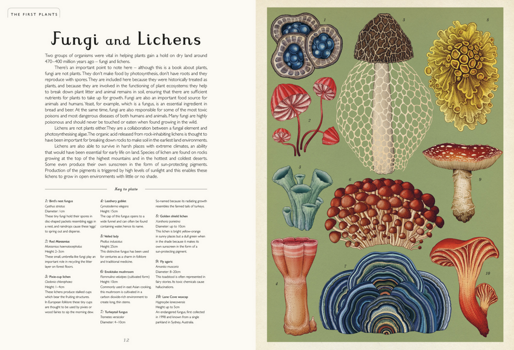 Botanicum