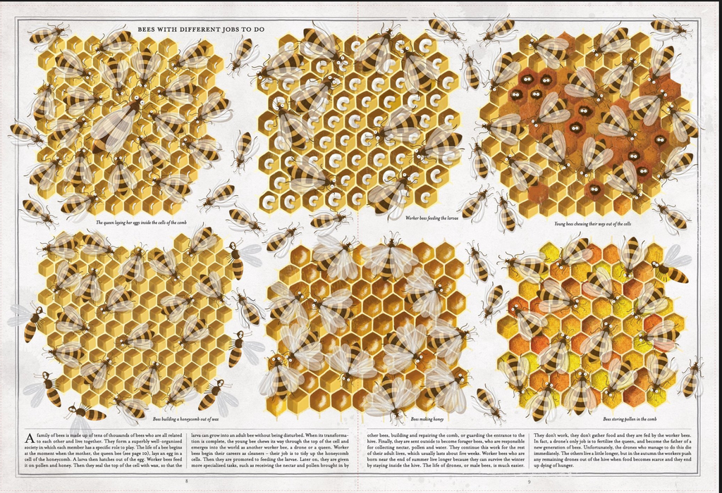 Bees Origin Bees: A Honeyed History | Waseca Biomes B2B