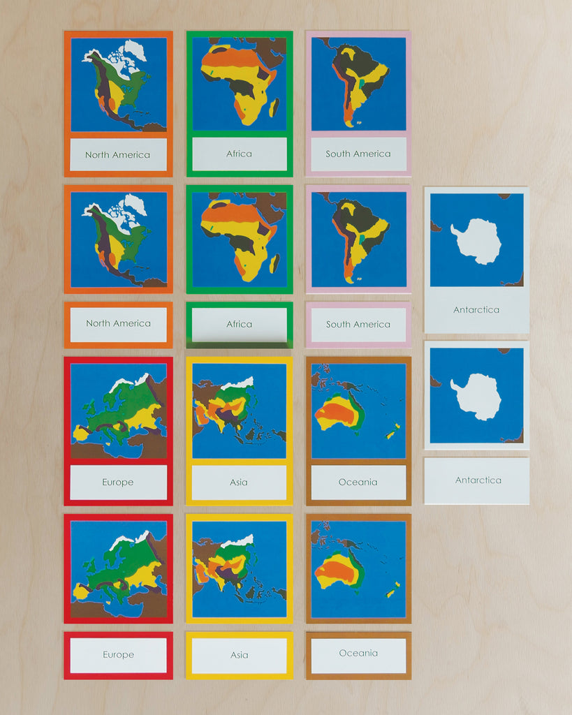 Complete Set of Continent Biome Cards–Primary