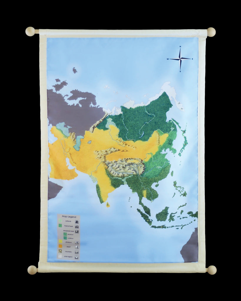 Asia Biome Mat