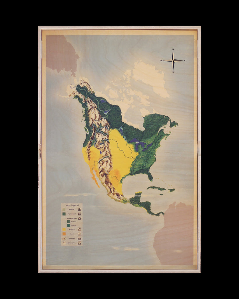 Complete Set of Continent Stencils with Cabinet