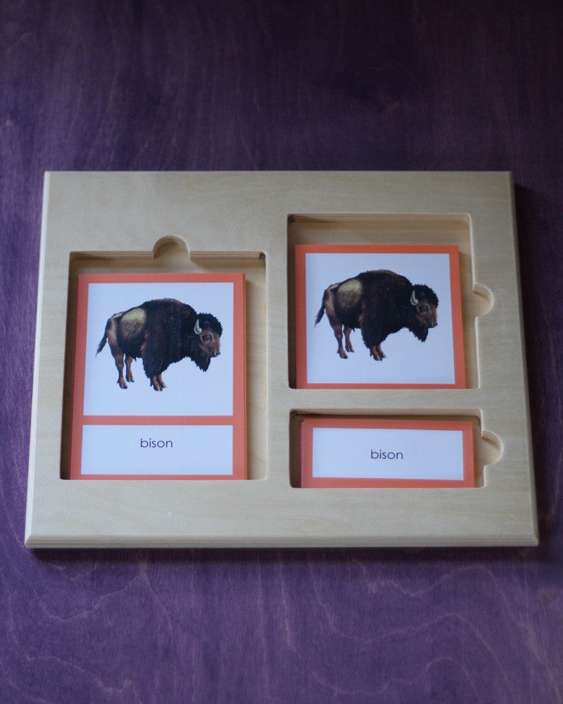 Three-Part Card Tray