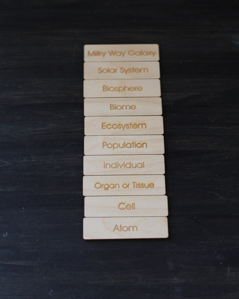 Biosphere Nesting Boxes | Waseca Biomes B2B