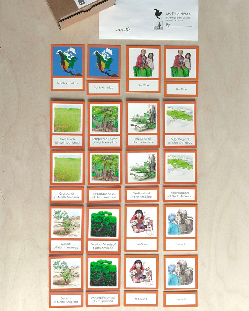 Complete Set of Continent Biome Cards–Primary