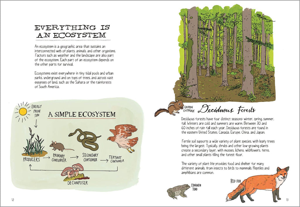 Wildlife Anatomy