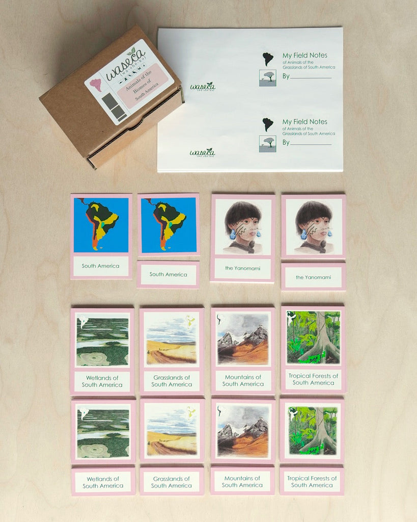 Biome Cards.pdf Complete Set of Continent Biome Cards–Primary | Waseca Biomes B2B