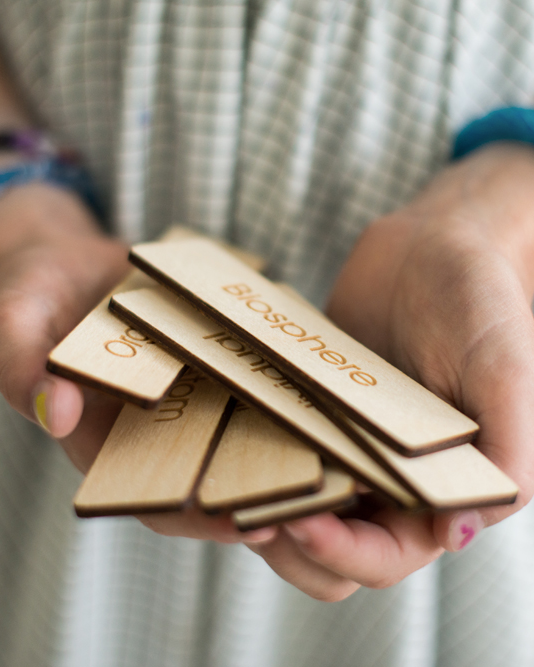 Biosphere Nesting Boxes | Waseca Biomes B2B