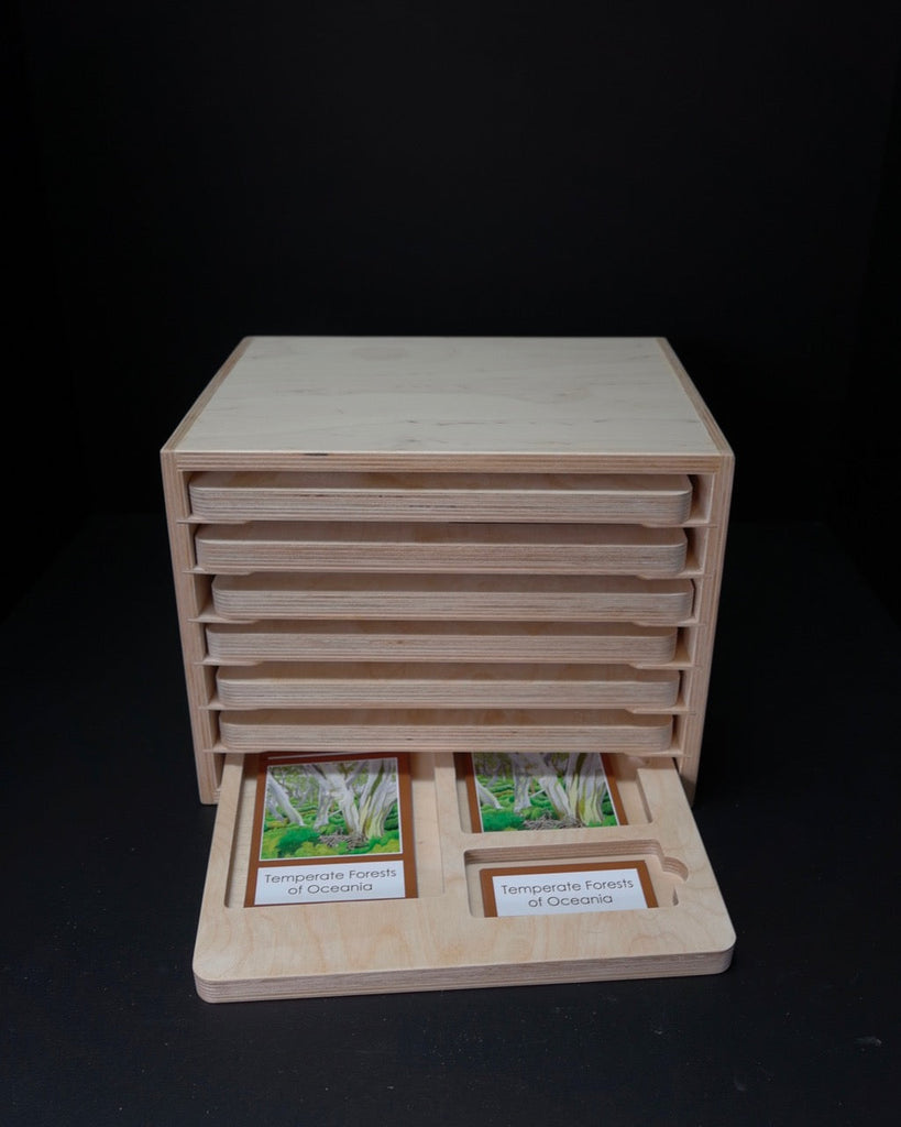 Complete Set of Continent Biome Cards–Primary