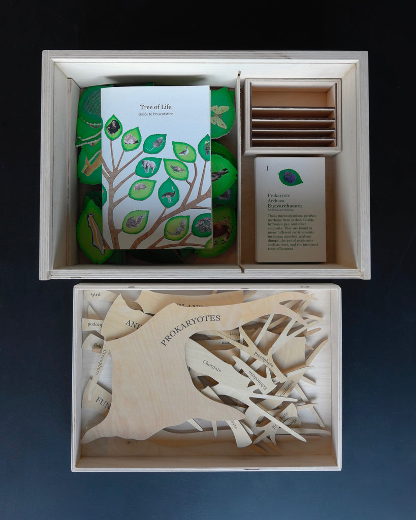 Tree of Life-unpacked
